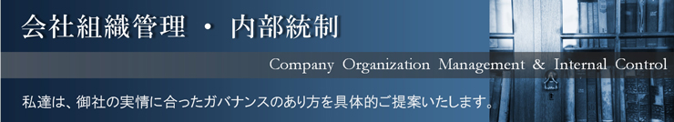 会社組織管理体制の総合診断・構築支援