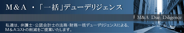 Ｍ＆Ａ・一括デューデリジェンス