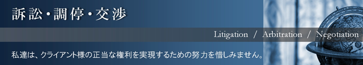 訴訟（裁判）